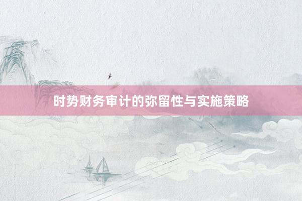 时势财务审计的弥留性与实施策略